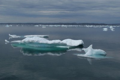 Dodge n Weave - Inner Frobisher Bay, Aug'08 A.Spares