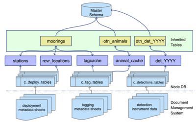 db_workflow_diagram.png