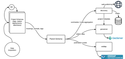 full_workflow_diagram.png