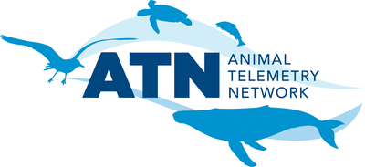 ATN Logo
